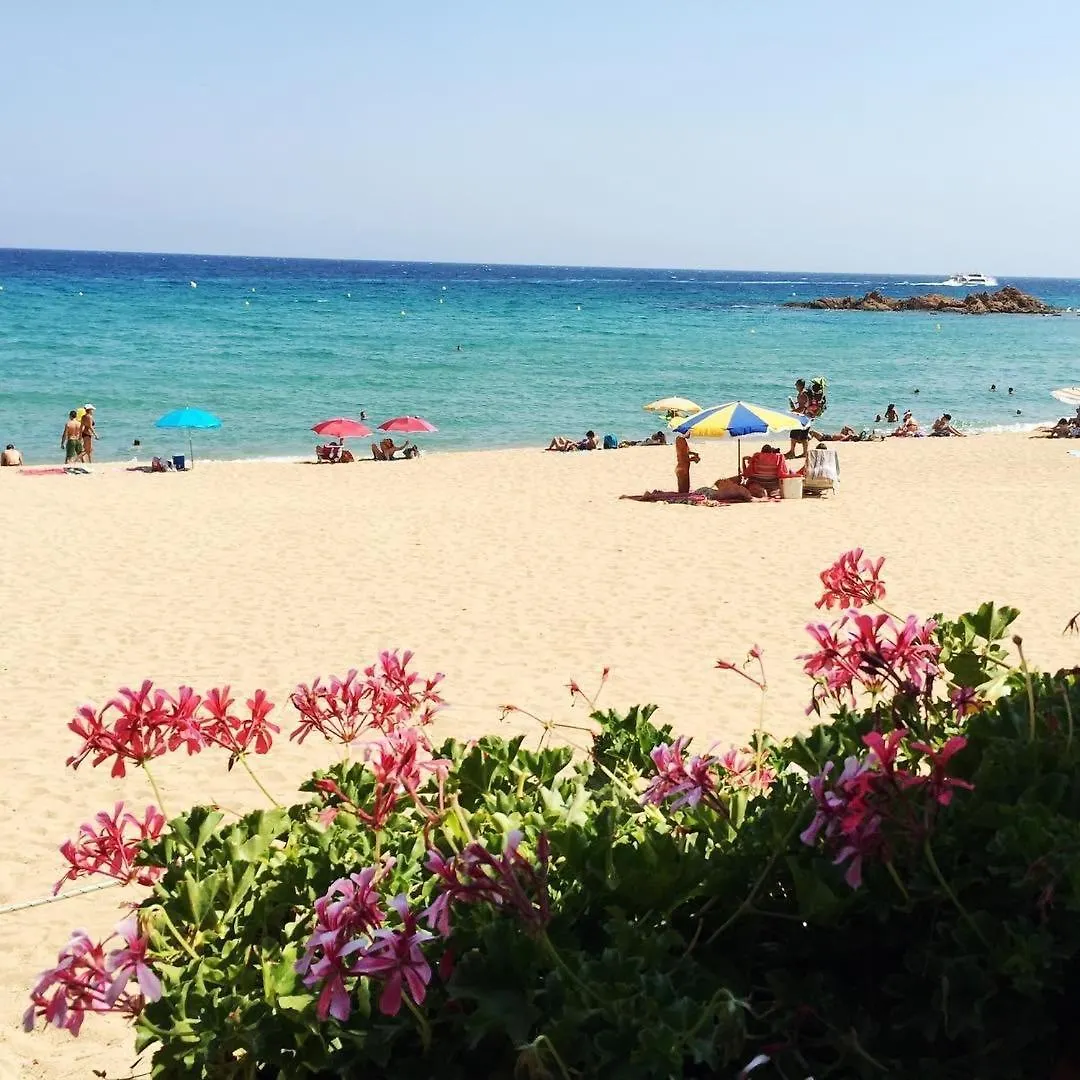 Lux Apartment In The Center Lloret de Mar 0*,  Spanien